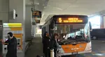 Marco Polo Airport busses