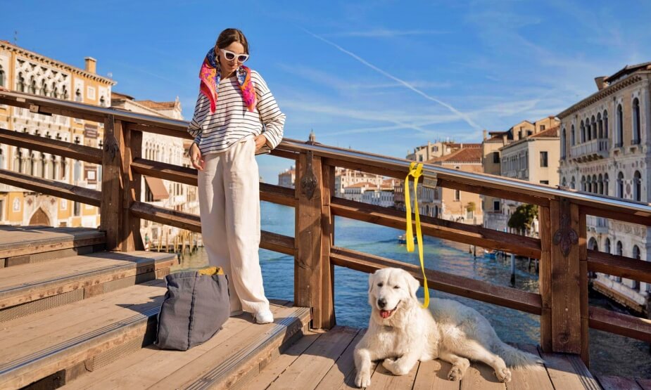 Hond mee in Venetie Hond mee in Venetie